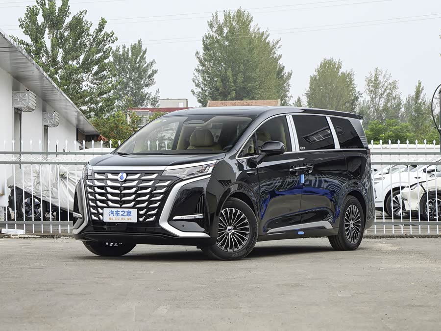 Denza D9 2025 2025款 DM-i 两驱尊航型