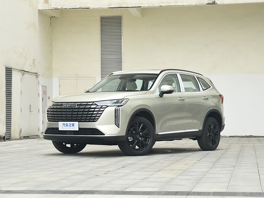 Haval H6 2024 2024款 1.5T 两驱Pro