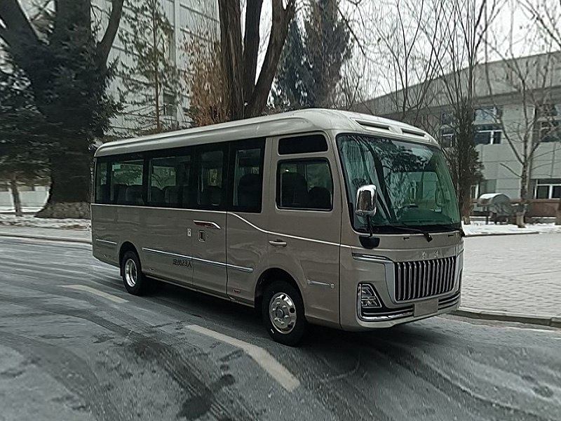 Hongqi Guoyue 2024 2024款 3.0T 豪华版 17座