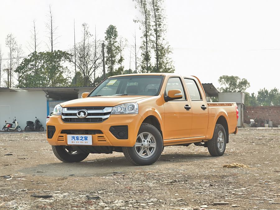 Great Wall Wingle 5 2023 2023款 干饭版 1.5T 汽油两驱进取型长货箱