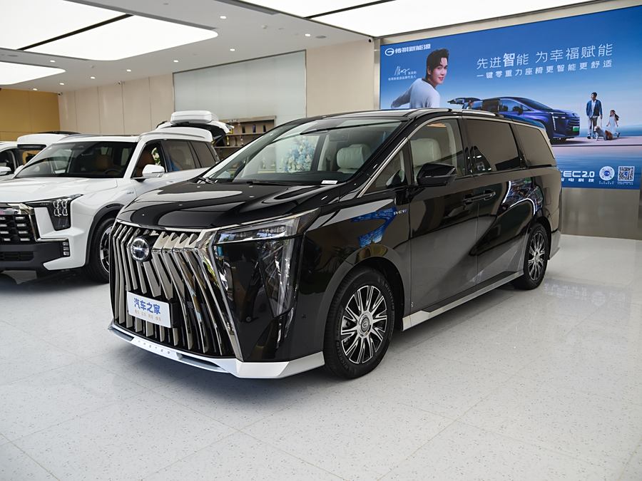 GAC Trumpchi E9 2024 2024款 E9 国宾定制版