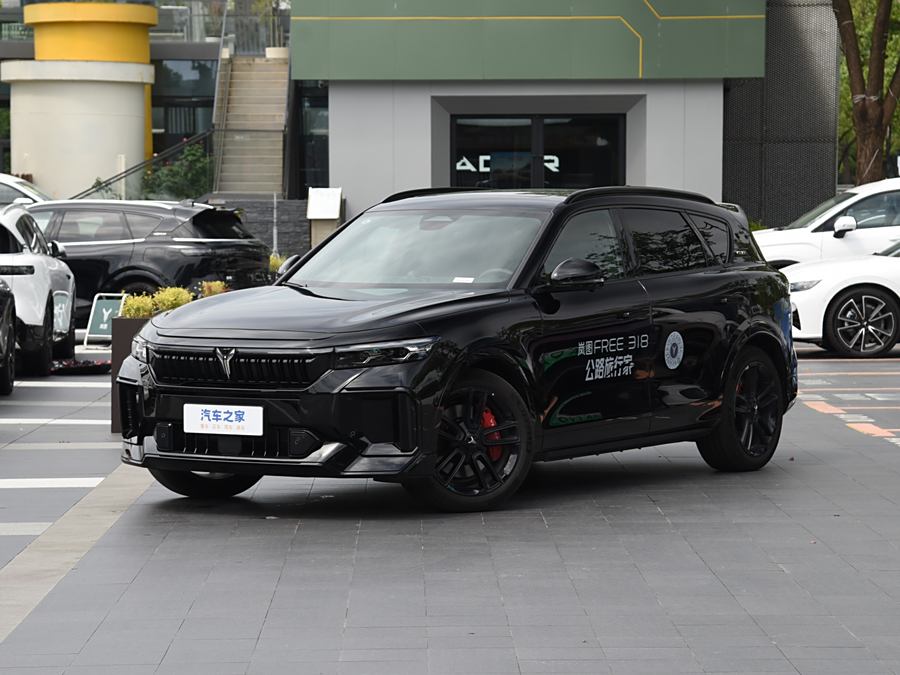 Voyah Free 2025 2025款 318 318km 后驱环游版