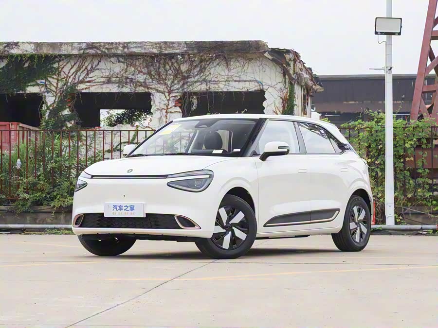Dongfeng Nammi 01 2026 2026款 挚爱款 430 Pro