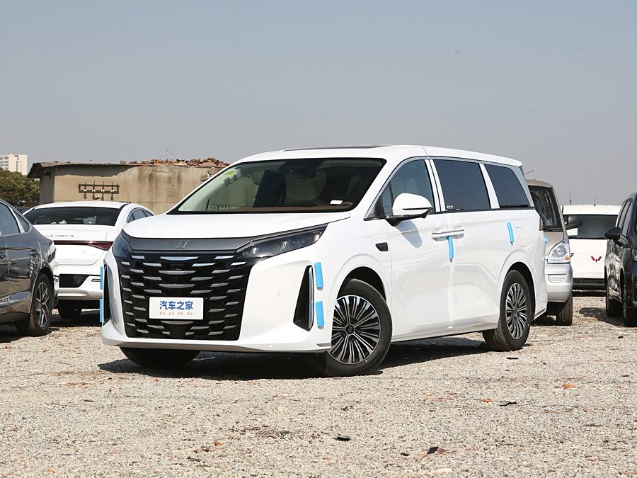 BYD Xia 2025 2025款 DM-i 1.5T 100km 领先型