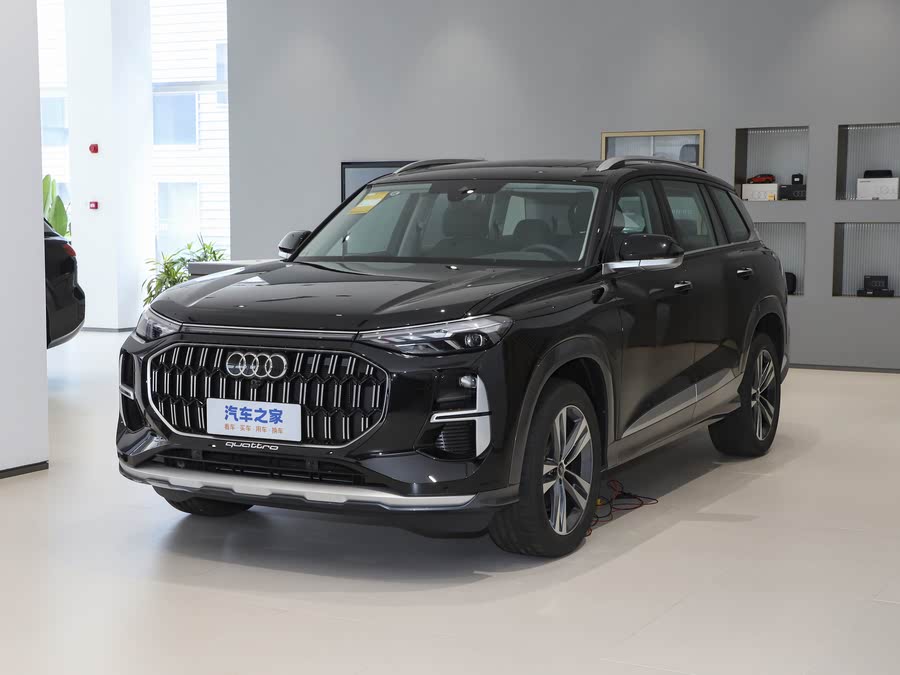 Audi Q6 2025 2025款 40 TFSI quattro 纪念版 羽林套装 7座