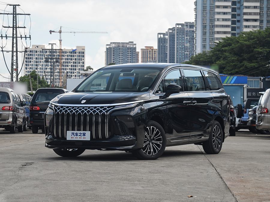 Dongfeng Forthing Xinghai V9 2024 2024款 1.5TD 100km 中国结系列 豪华型