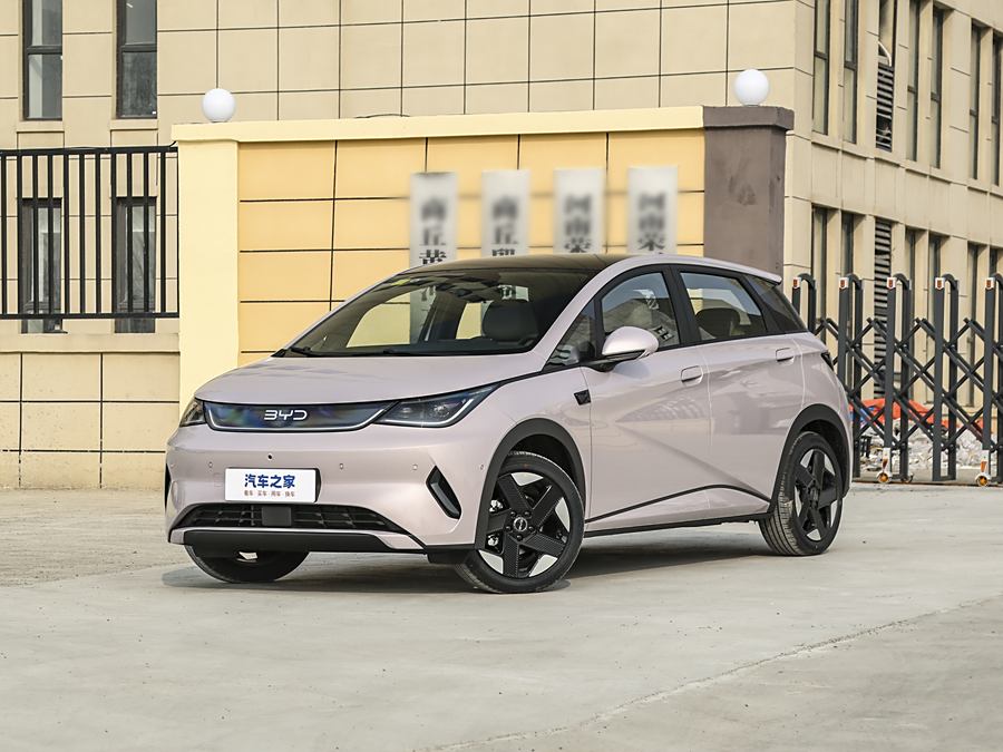 BYD Dolphin 2025 2025款 智驾版 520km 骑士版