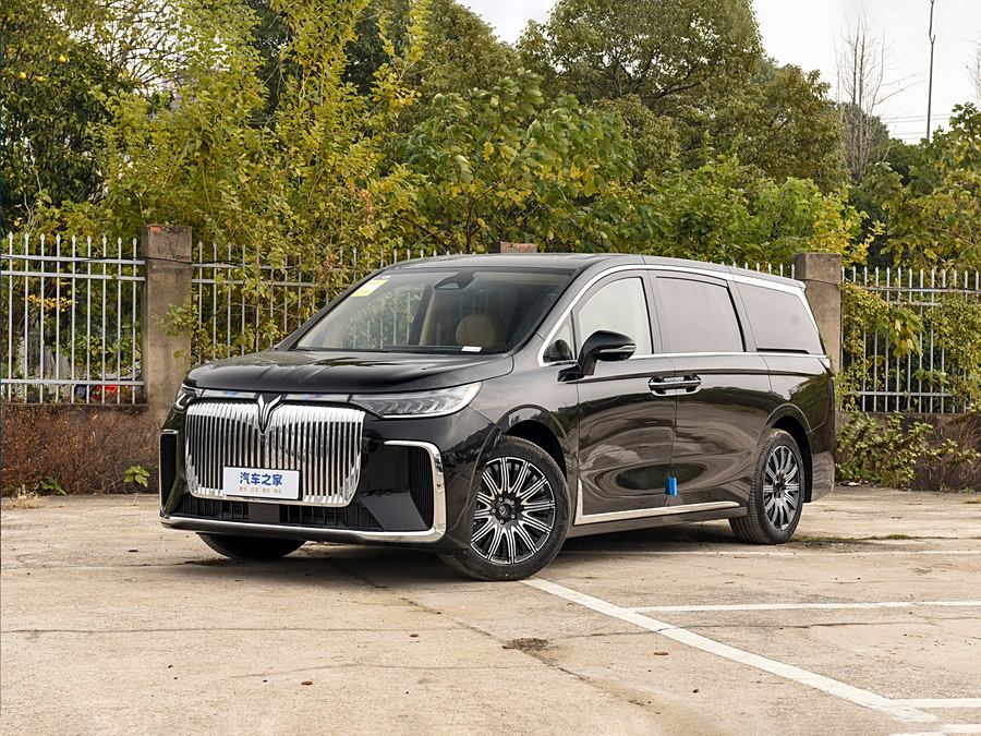 Voyah Dream 2025 2025款 EV 四驱尊贵鲲鹏版