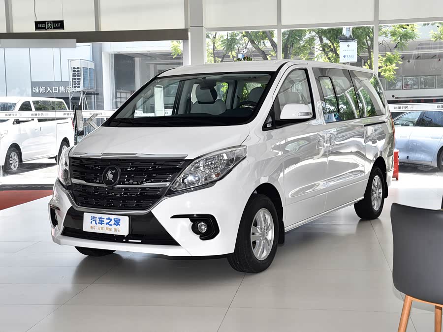 Dongfeng Forthing Lingzhi Plus 2025 2025款 2.0L 手动豪华型CNG 7座