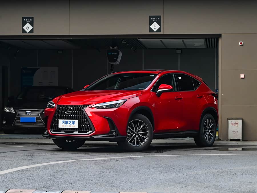 Lexus NX 2025 2025款 200 FUN