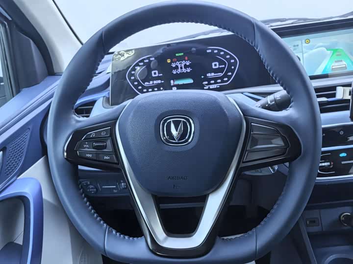 Changan BenBen E-Star 2023 2023款 清心版 多彩款 磷酸铁锂