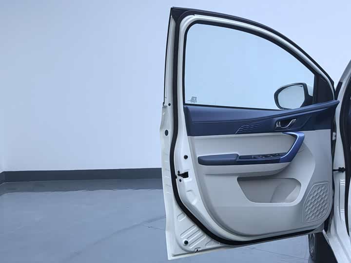 Changan BenBen E-Star 2023 2023款 清心版 多彩款 磷酸铁锂