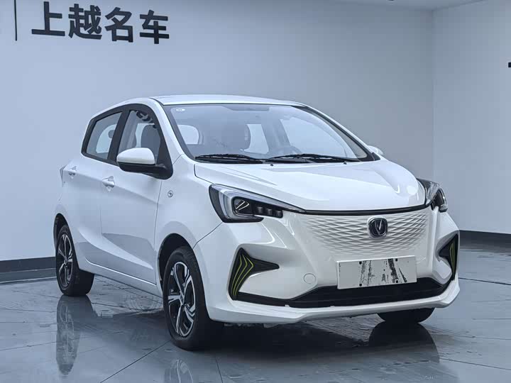 Changan BenBen E-Star 2023 2023款 清心版 多彩款 磷酸铁锂