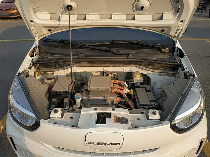 Roewe Clever 2022 2022款 311km元气啵啵版