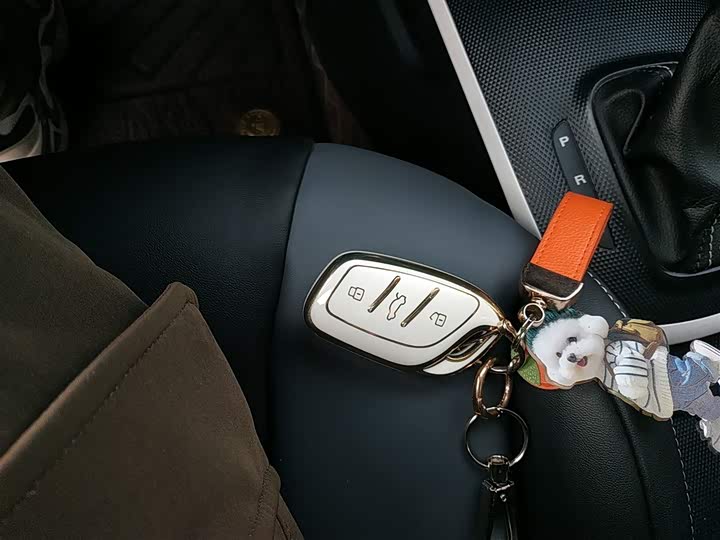 Roewe Clever 2022 2022款 311km元气啵啵版