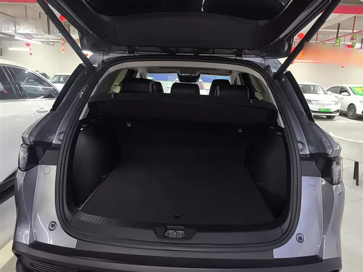 BYD Sea Lion 05 DM-i Hybrid 2025 2025款 DM-i 智驾版 115KM旗舰型