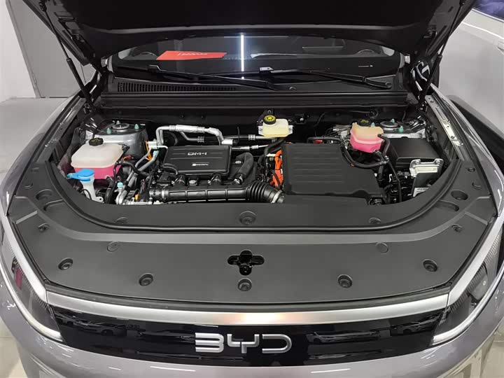 BYD Sea Lion 05 DM-i Hybrid 2025 2025款 DM-i 智驾版 115KM旗舰型