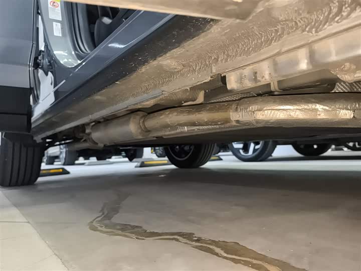 BYD Sea Lion 05 DM-i Hybrid 2025 2025款 DM-i 智驾版 115KM旗舰型