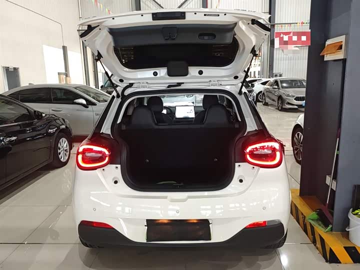 Dongfeng Nammi 01 2024 2024款 焕新版 330 Plus智+