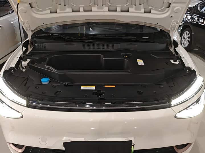 Dongfeng Nammi 01 2024 2024款 焕新版 330 Plus智+