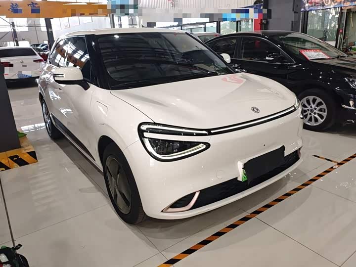 Dongfeng Nammi 01 2024 2024款 焕新版 330 Plus智+