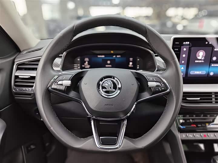 Skoda Kodiaq GT 2022 2022款 TSI330 两驱奢享版