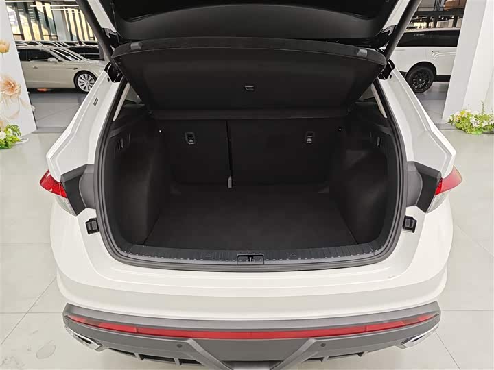 Skoda Kodiaq GT 2022 2022款 TSI330 两驱奢享版