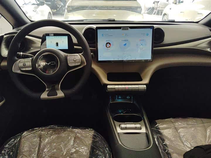 BYD Dolphin 2025 2025款 420km 自由版