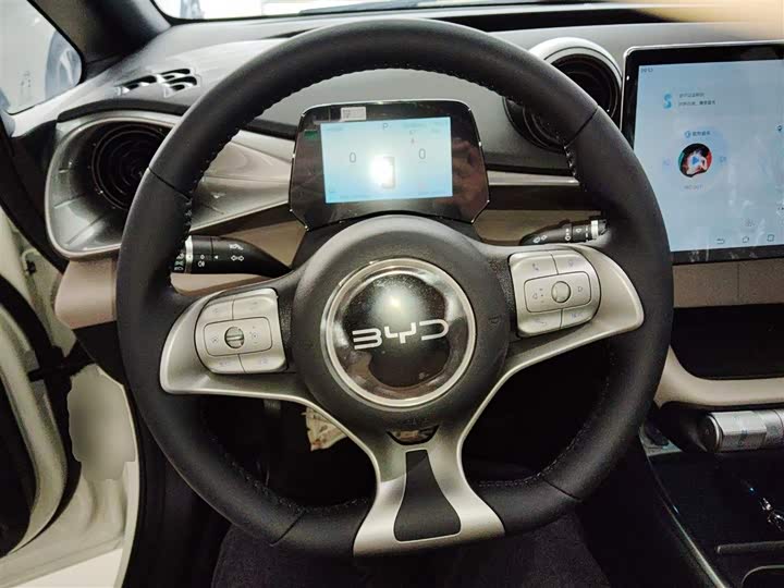 BYD Dolphin 2025 2025款 420km 自由版