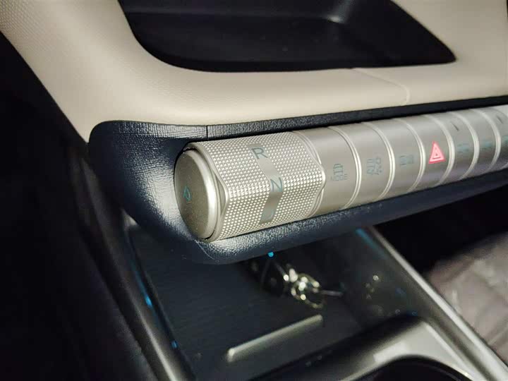 BYD Dolphin 2025 2025款 420km 自由版