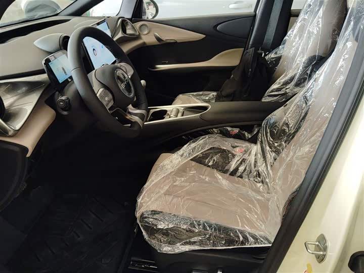 BYD Dolphin 2025 2025款 420km 自由版