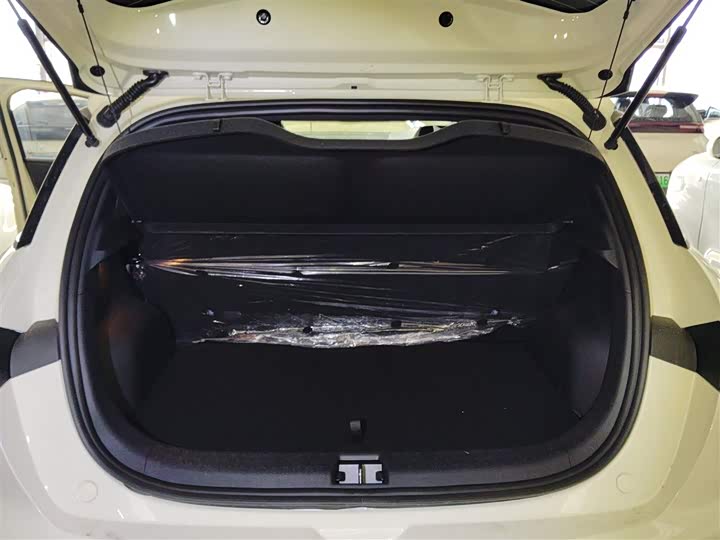 BYD Dolphin 2025 2025款 420km 自由版