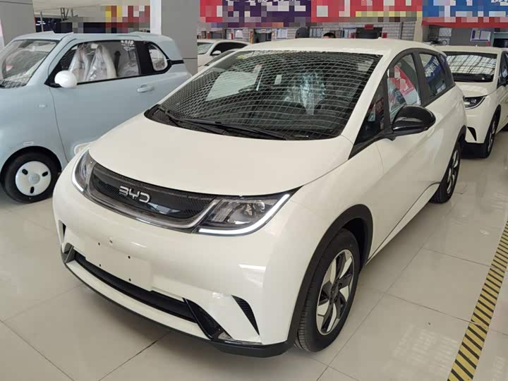 BYD Dolphin 2025 2025款 420km 自由版