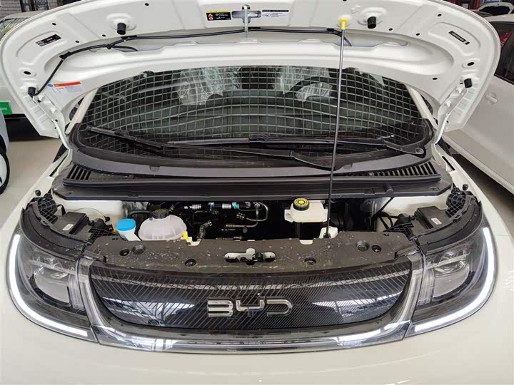 BYD Dolphin 2025 2025款 420km 自由版