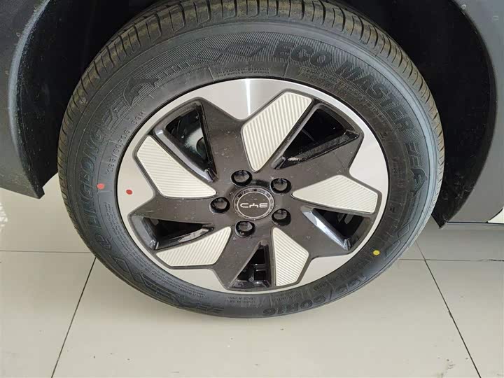 BYD Dolphin 2025 2025款 420km 自由版