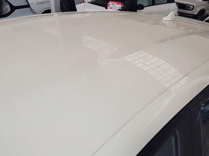 BYD Dolphin 2025 2025款 420km 自由版