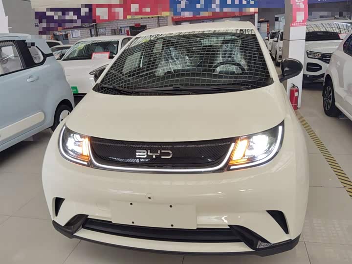 BYD Dolphin 2025 2025款 420km 自由版