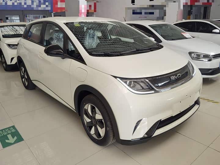 BYD Dolphin 2025 2025款 420km 自由版
