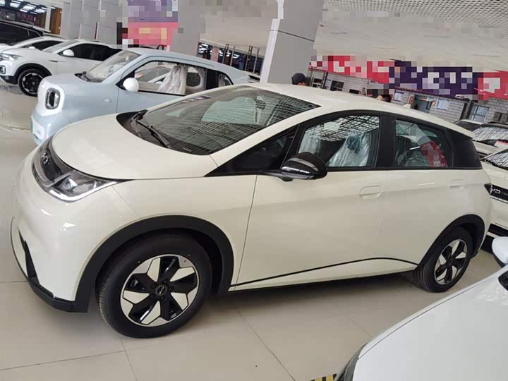 BYD Dolphin 2025 2025款 420km 自由版