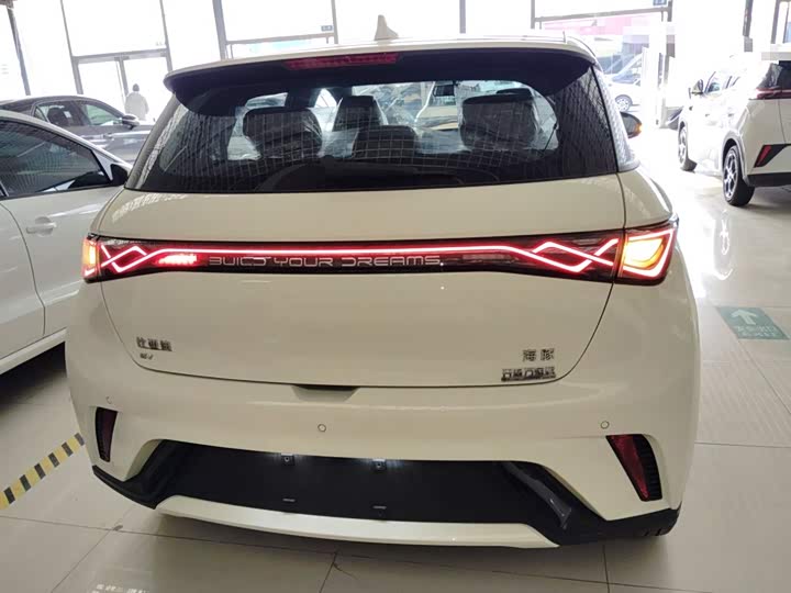 BYD Dolphin 2025 2025款 420km 自由版