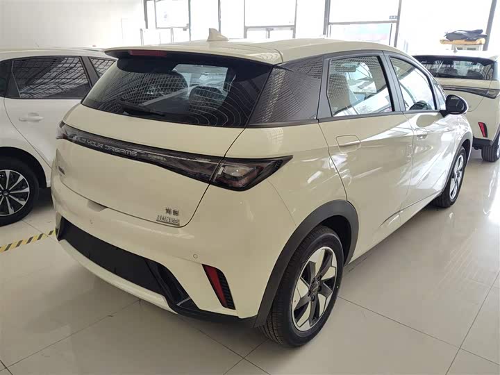 BYD Dolphin 2025 2025款 420km 自由版