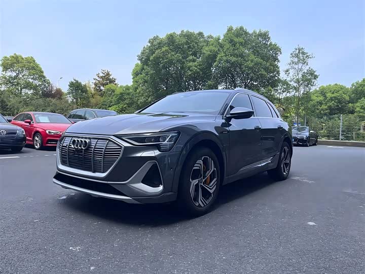 Audi e-tron 2021 2021款 50 quattro 臻选型