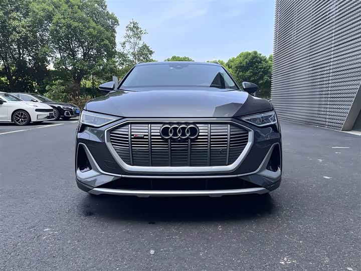 Audi e-tron 2021 2021款 50 quattro 臻选型