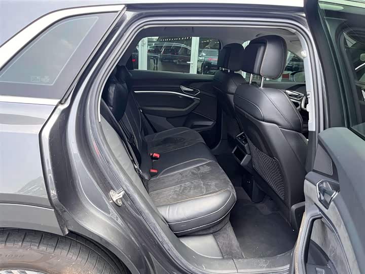 Audi e-tron 2021 2021款 50 quattro 臻选型