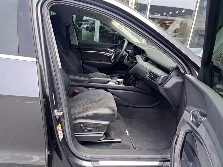 Audi e-tron 2021 2021款 50 quattro 臻选型