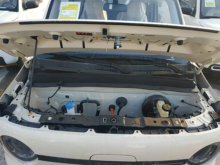 Geely Galaxy Panda Mini 2025 2025款 熊猫mini 210km 元气熊