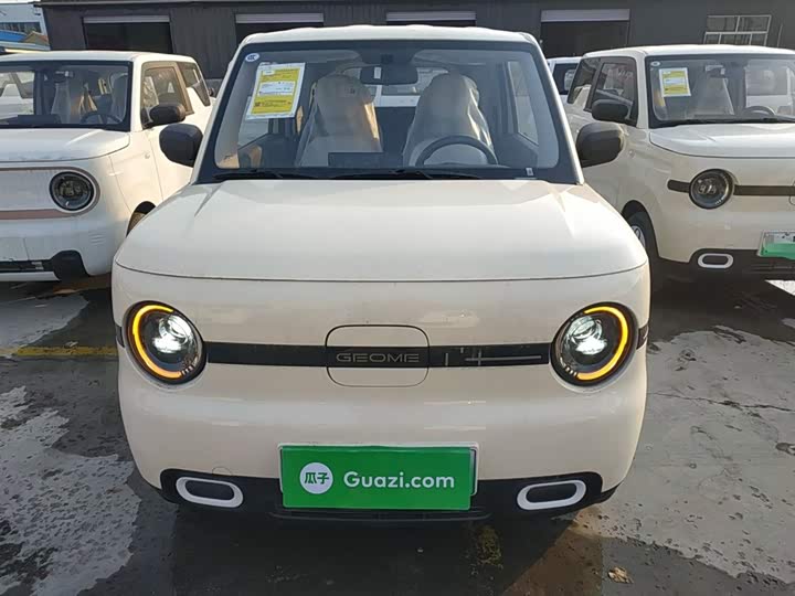 Geely Galaxy Panda Mini 2025 2025款 熊猫mini 210km 元气熊