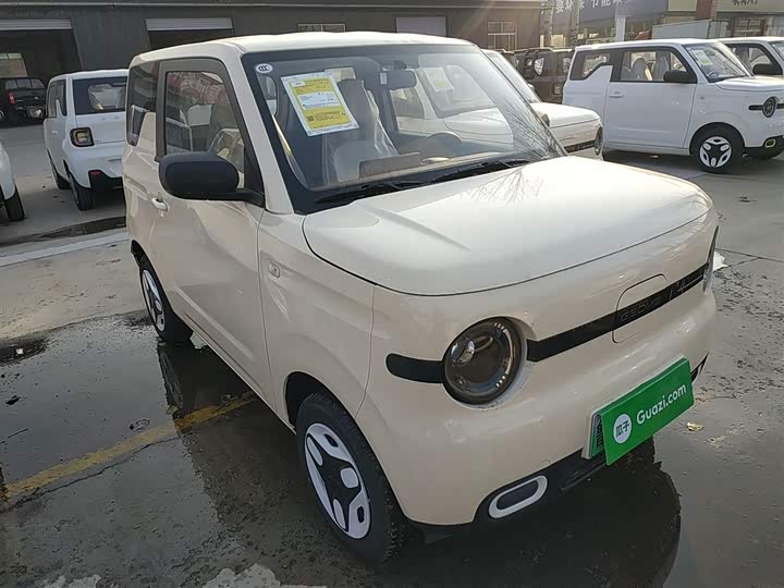 Geely Galaxy Panda Mini 2025 2025款 熊猫mini 210km 元气熊
