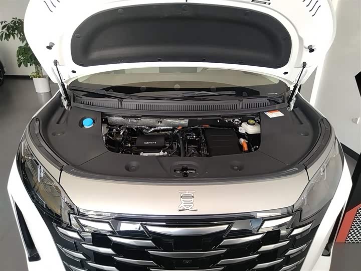 BYD Xia 2025 2025款 DM-i 1.5T 180km 超越型