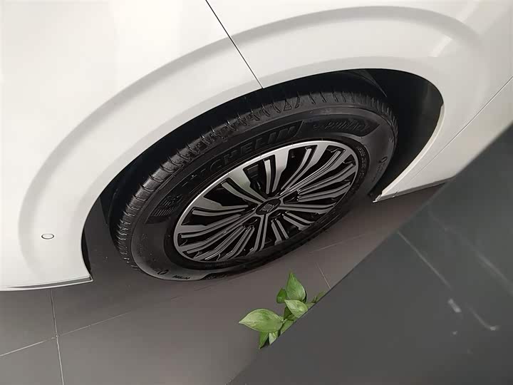 BYD Xia 2025 2025款 DM-i 1.5T 180km 超越型